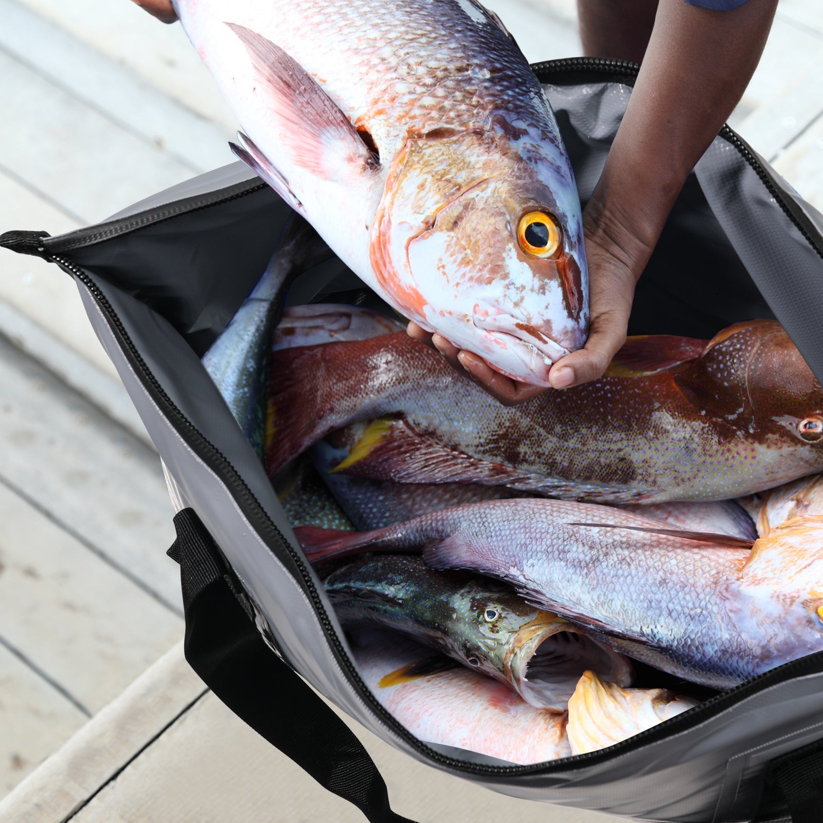 27QT Fish Bag Cooler With Flat Bottom | Color: White Gray
