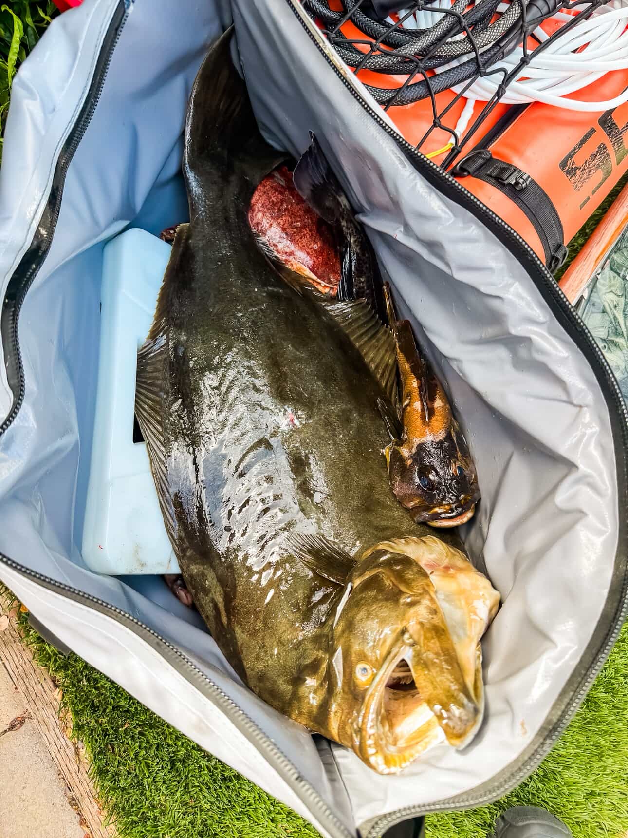45QT Fish Cooler Bag With Flat Bottom | Color: White Gray