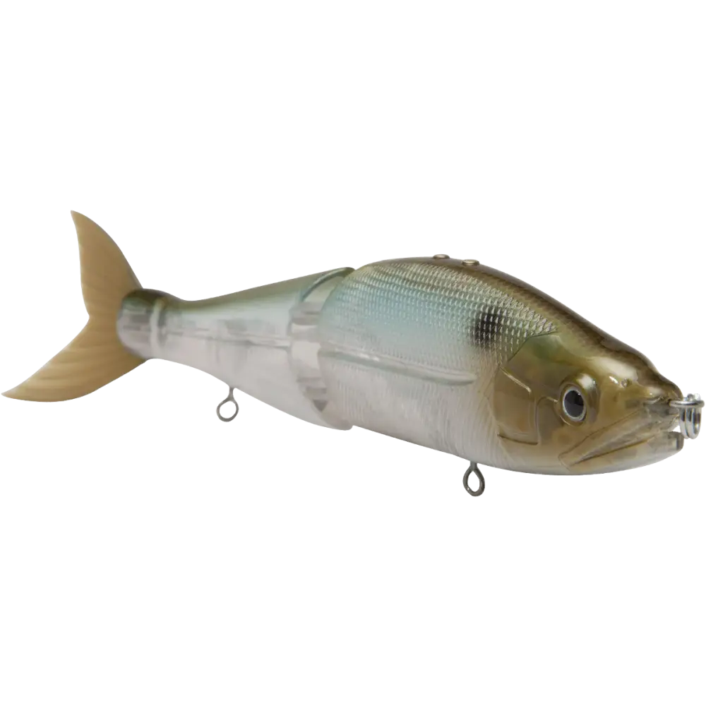 B Venom 6’’ Swimbait for Musky Stripers & Bass – EBS MultiTouch | Variable Weight | Color: Blue Pearl Chartreuse