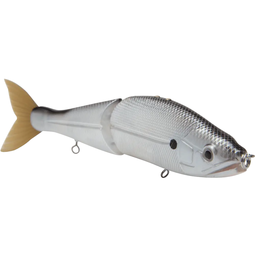 B Venom 6’’ Swimbait for Musky Stripers & Bass – EBS MultiTouch | Variable Weight | Color: Blue Pearl Chartreuse