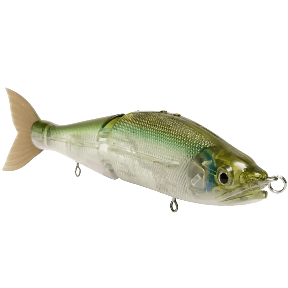 B Venom 6’’ Swimbait for Musky Stripers & Bass – EBS MultiTouch | Variable Weight | Color: Blue Pearl Chartreuse