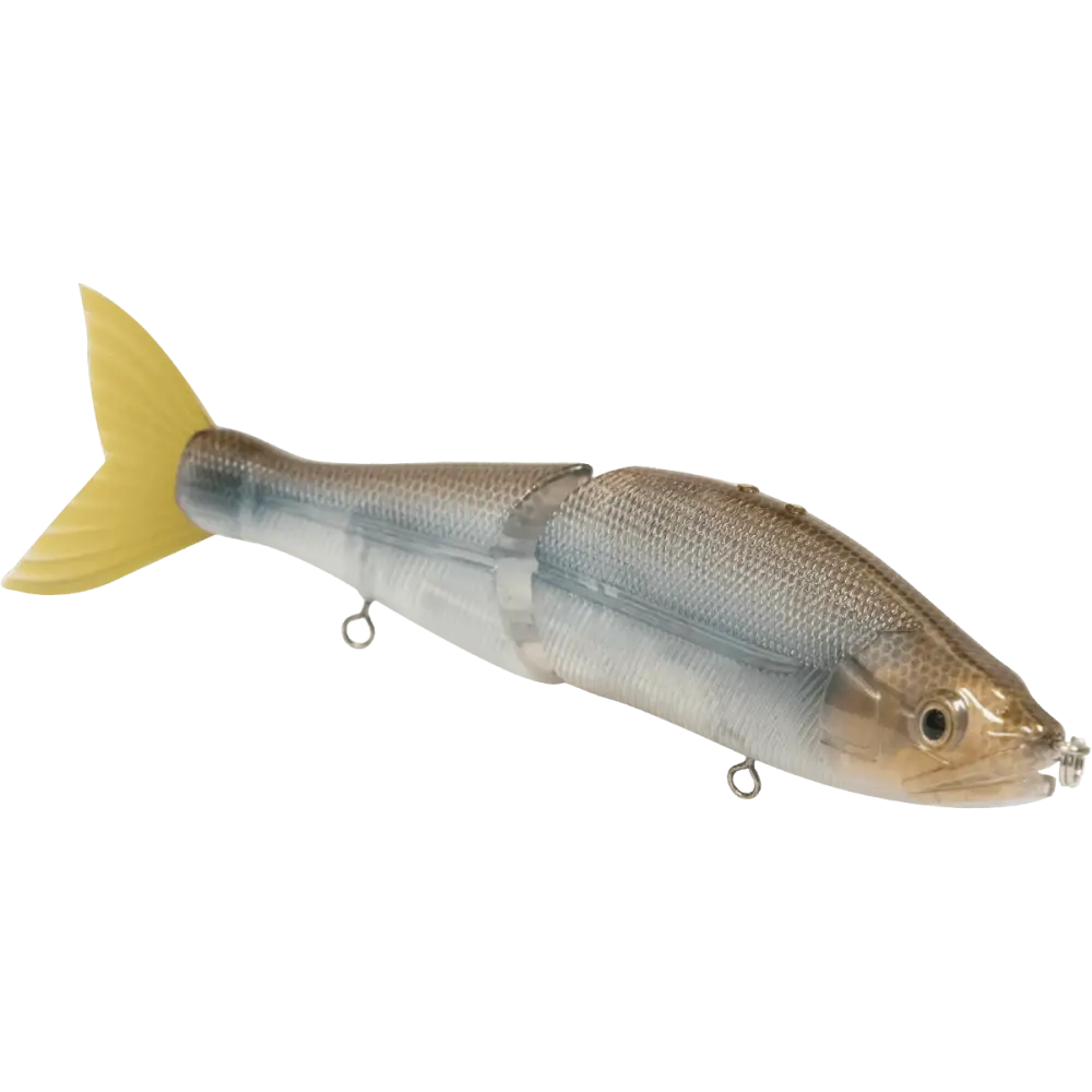 B Venom 6’’ Swimbait for Musky Stripers & Bass – EBS MultiTouch | Variable Weight | Color: Blue Pearl Chartreuse