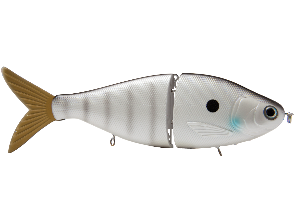 B Viper 8’’ Glide Bait for Musky Pike & Stripers – EBS MultiTouch | Variable Weight | Color: Blue Pearl Chartreuse Baby