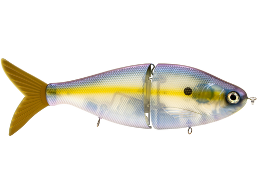B Viper 8’’ Glide Bait for Musky Pike & Stripers – EBS MultiTouch | Variable Weight | Color: Blue Pearl Chartreuse Baby