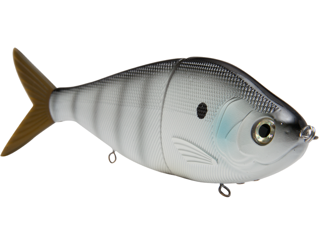 B Viper 8’’ Glide Bait for Musky Pike & Stripers – EBS MultiTouch | Variable Weight | Color: Blue Pearl Chartreuse Baby