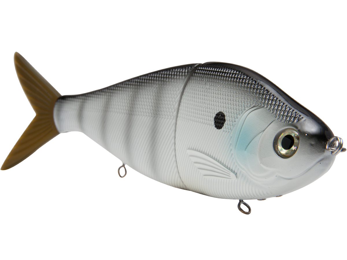 B Viper 8’’ Glide Bait for Musky Pike & Stripers – EBS MultiTouch | Variable Weight | Color: Blue Pearl Chartreuse Baby