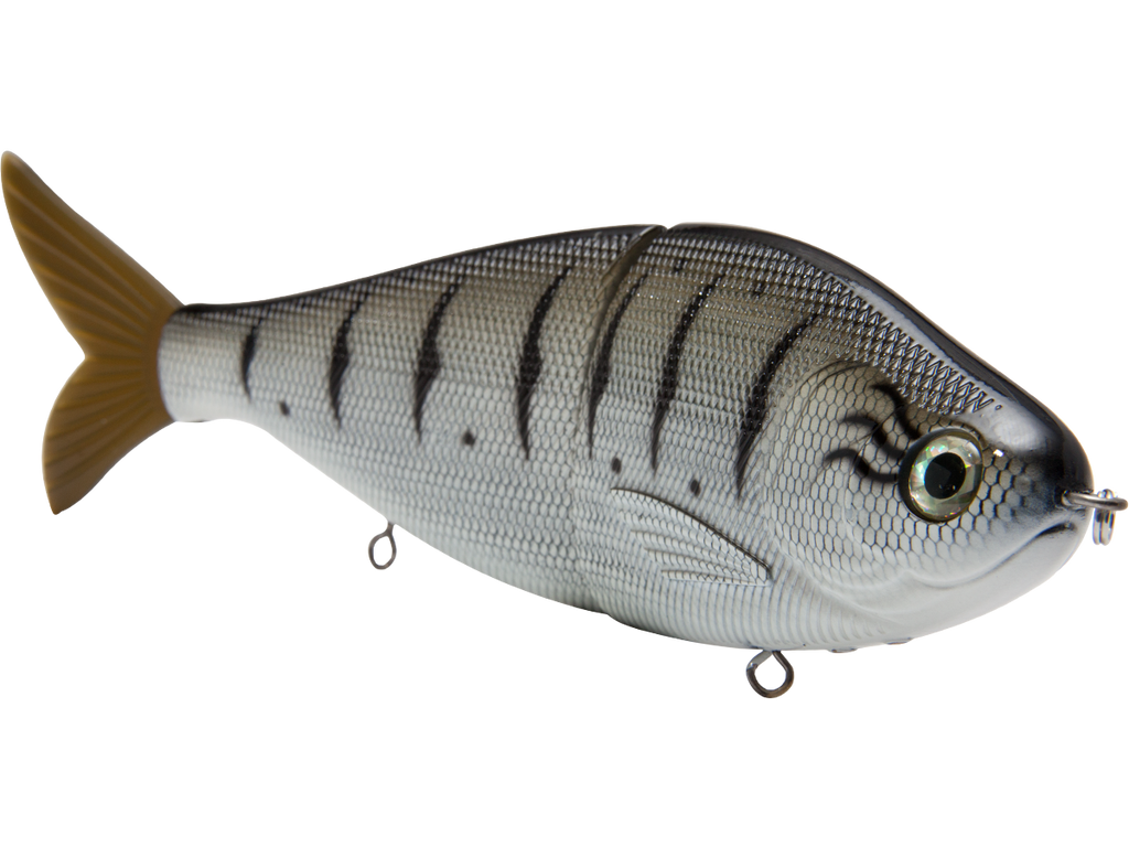 B Viper 8’’ Glide Bait for Musky Pike & Stripers – EBS MultiTouch | Variable Weight | Color: Blue Pearl Chartreuse Baby