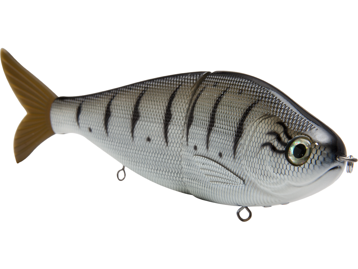 B Viper 8’’ Glide Bait for Musky Pike & Stripers – EBS MultiTouch | Variable Weight | Color: Blue Pearl Chartreuse Baby