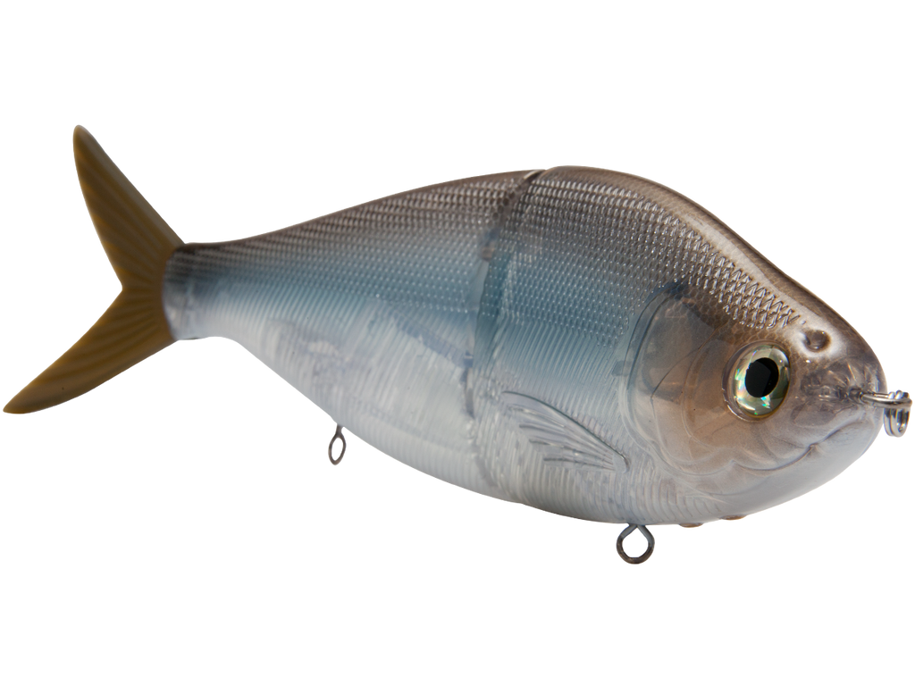 B Viper 8’’ Glide Bait for Musky Pike & Stripers – EBS MultiTouch | Variable Weight | Color: Blue Pearl Chartreuse Baby