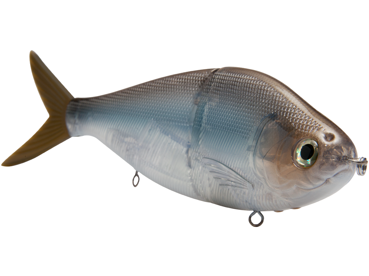 B Viper 8’’ Glide Bait for Musky Pike & Stripers – EBS MultiTouch | Variable Weight | Color: Blue Pearl Chartreuse Baby