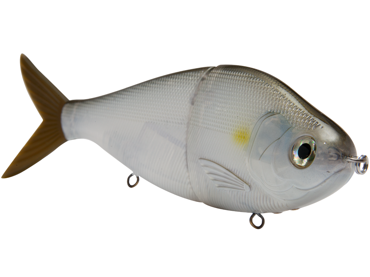B Viper 8’’ Glide Bait for Musky Pike & Stripers – EBS MultiTouch | Variable Weight | Color: Blue Pearl Chartreuse Baby