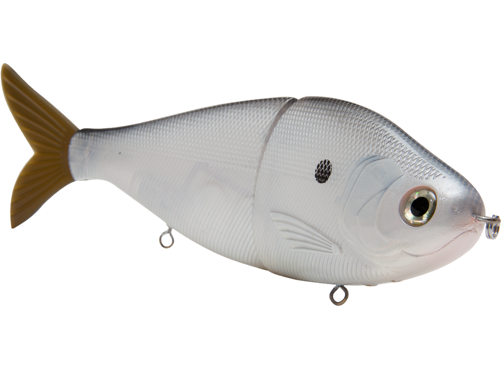 B Viper 8’’ Glide Bait for Musky Pike & Stripers – EBS MultiTouch | Variable Weight | Color: Blue Pearl Chartreuse Baby