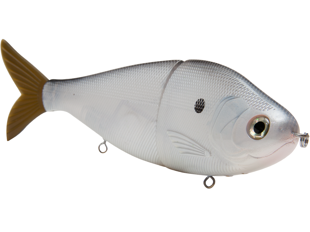 B Viper 8’’ Glide Bait for Musky Pike & Stripers – EBS MultiTouch | Variable Weight | Color: Blue Pearl Chartreuse Baby