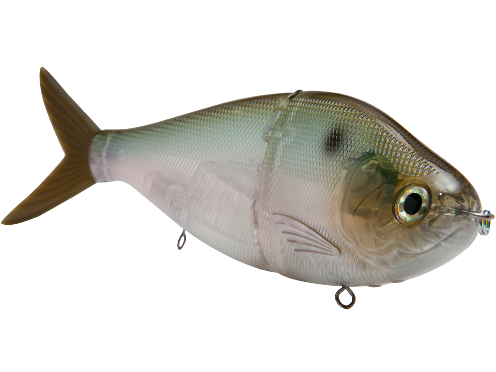 B Viper 8’’ Glide Bait for Musky Pike & Stripers – EBS MultiTouch | Variable Weight | Color: Blue Pearl Chartreuse Baby