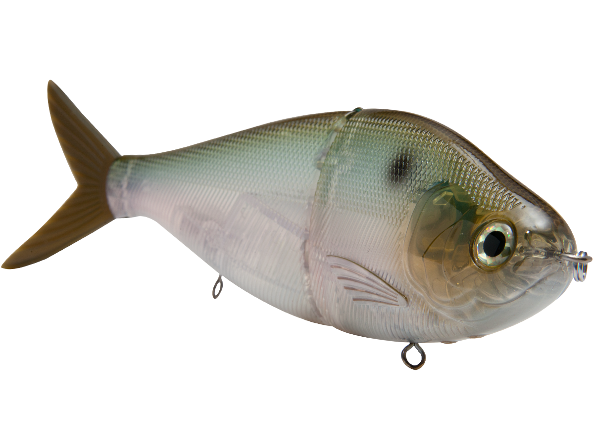 B Viper 8’’ Glide Bait for Musky Pike & Stripers – EBS MultiTouch | Variable Weight | Color: Blue Pearl Chartreuse Baby