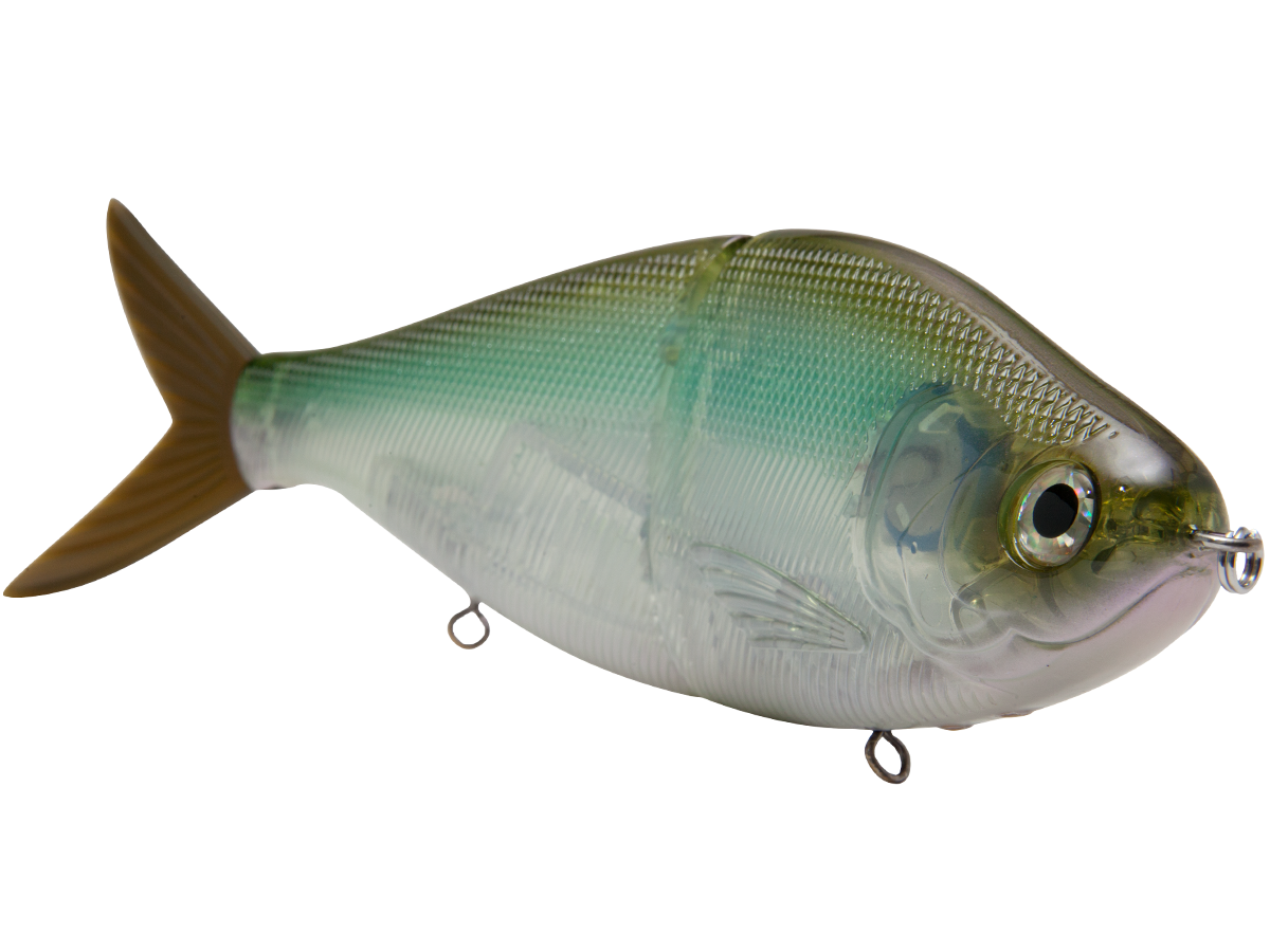 B Viper 8’’ Glide Bait for Musky Pike & Stripers – EBS MultiTouch | Variable Weight | Color: Blue Pearl Chartreuse Baby