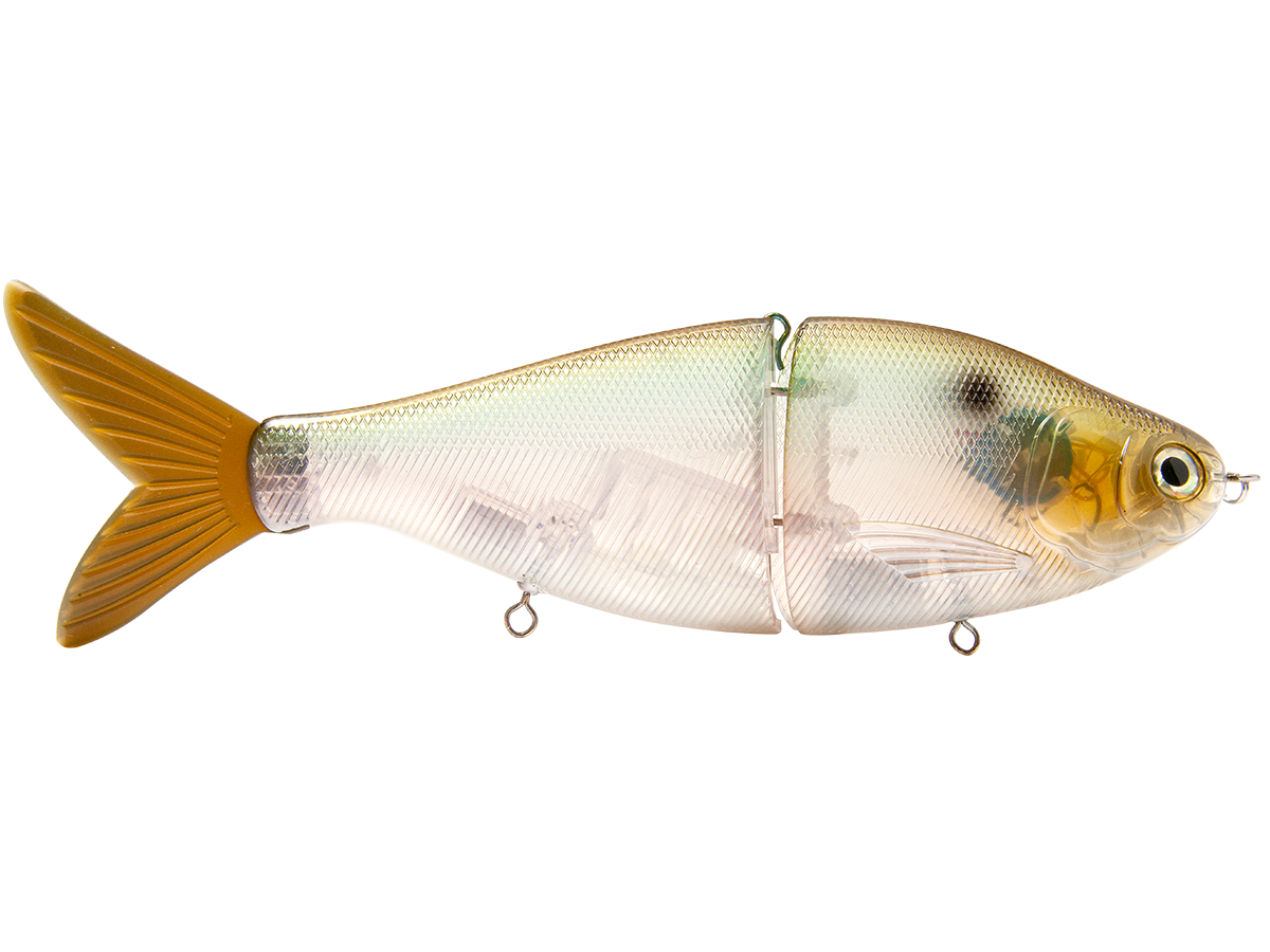 B Viper 8’’ Glide Bait for Musky Pike & Stripers – EBS MultiTouch | Variable Weight | Color: Blue Pearl Chartreuse Baby