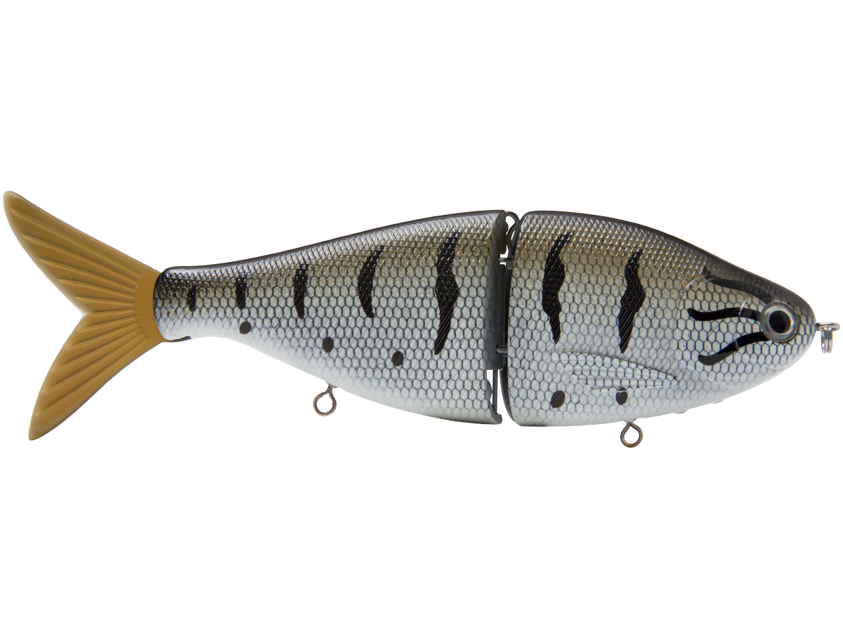 B Viper 8’’ Glide Bait for Musky Pike & Stripers – EBS MultiTouch | Variable Weight | Color: Blue Pearl Chartreuse Baby