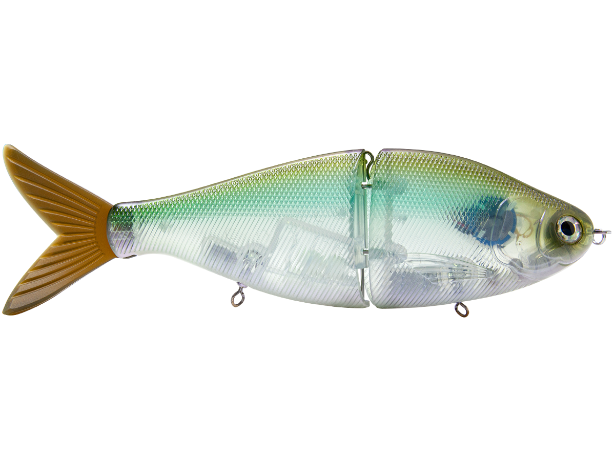 B Viper 8’’ Glide Bait for Musky Pike & Stripers – EBS MultiTouch | Variable Weight | Color: Blue Pearl Chartreuse Baby