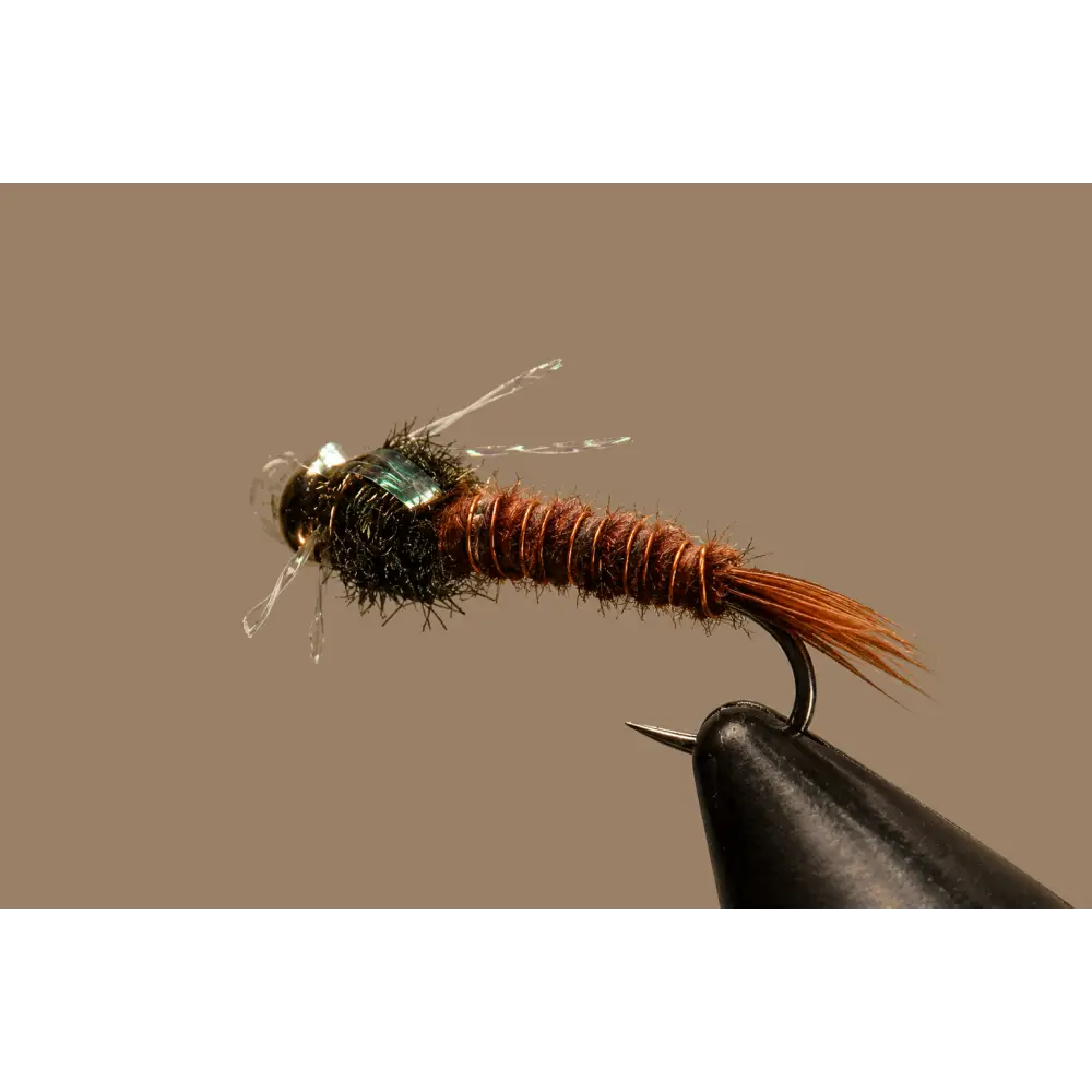 BH P.T. - Sparkle | Package: 3 Pack | Size: 12 18 - Artificial Fishing Flies