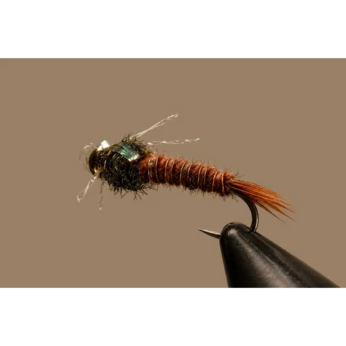 BH P.T. - Sparkle | Package: 3 Pack | Size: 12 18 - Artificial Fishing Flies
