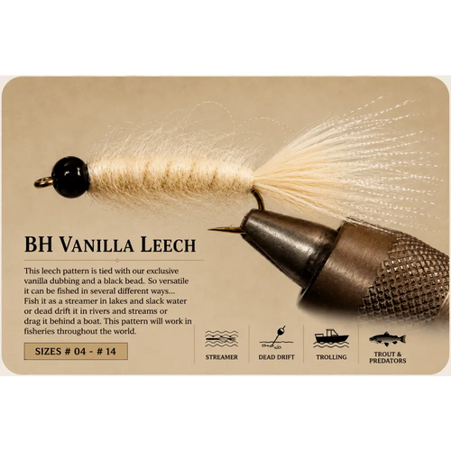 BH Vanilla Leech | Size: 06 08 10 12 14 | Package: 3 Pack Dozen - Artificial Fishing Flies