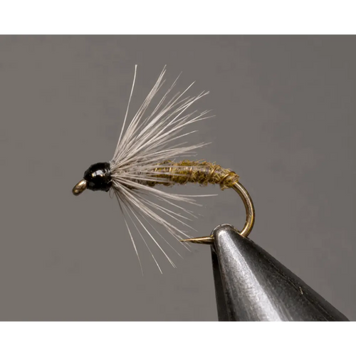 Biot Soft Hackle™ - BWO | Package: 3 Pack Dozen | Size: 18 20 22 - Artificial Fishing Flies