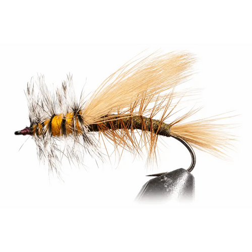 Bleached Stimulator | Color: Olive Peacock Royal Red Yellow | Size: 4 6 8 10 12 14 16 18 - 3 Pack - Artificial Fishing