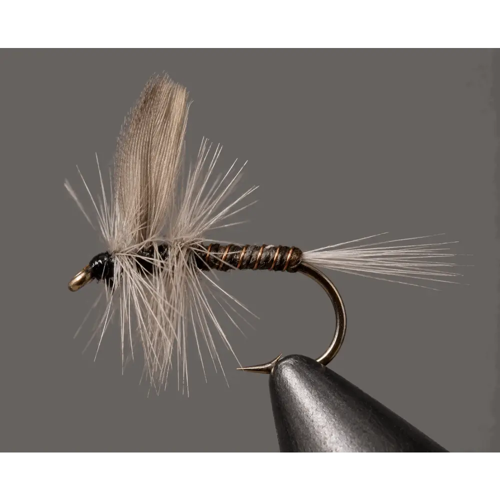 Blue Quill | Package: 3 Pack | Size: 22 - Artificial Fishing Flies