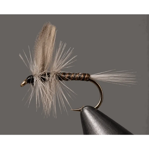 Blue Quill | Package: 3 Pack | Size: 22 - Artificial Fishing Flies