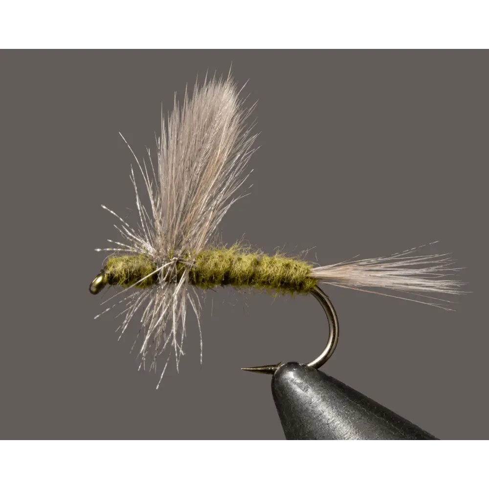 Blue Wing Olive - Thorax | Size: 3 Pack Dozen | Package: 12 14 16 18 20 22 - Artificial Fishing Flies