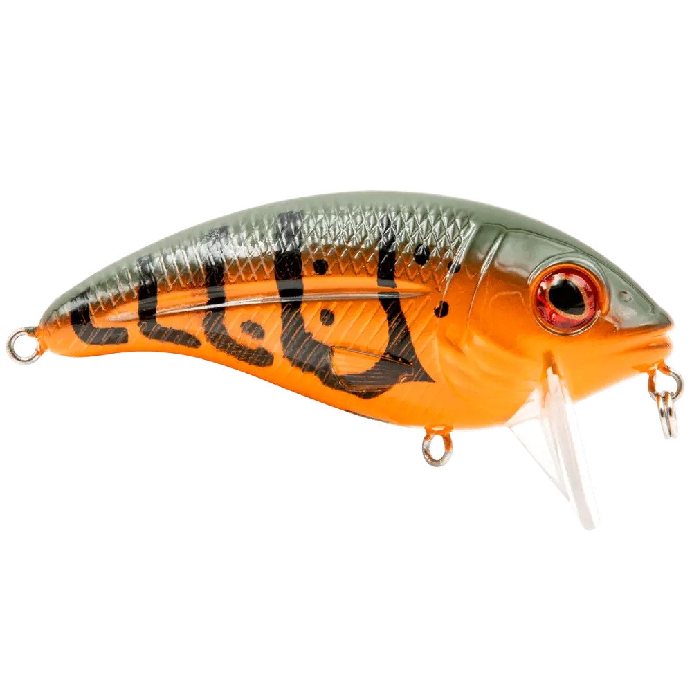 Bull Nose Shallow Crankbait for Bass & Walleye – EBS Sound Technology | Color: Black Back Chrome Shad Chartreuse