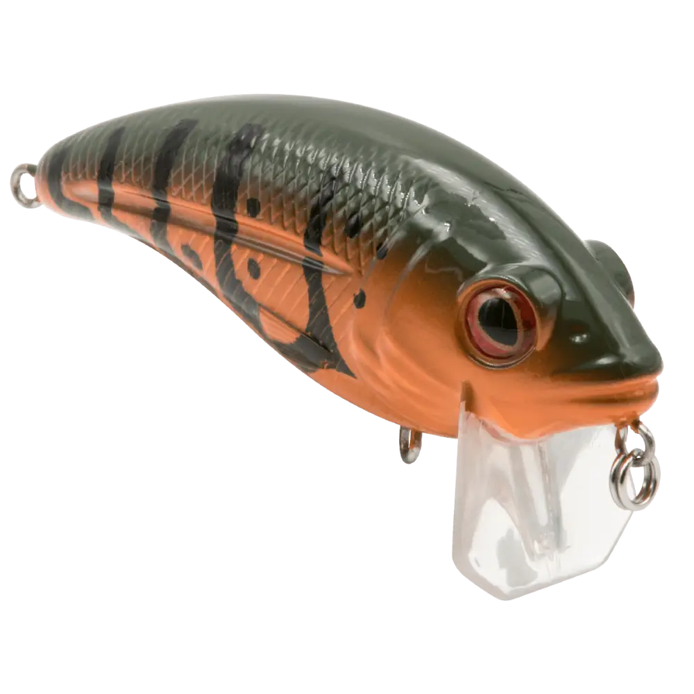 Bull Nose Shallow Crankbait for Bass & Walleye – EBS Sound Technology | Color: Black Back Chrome Shad Chartreuse