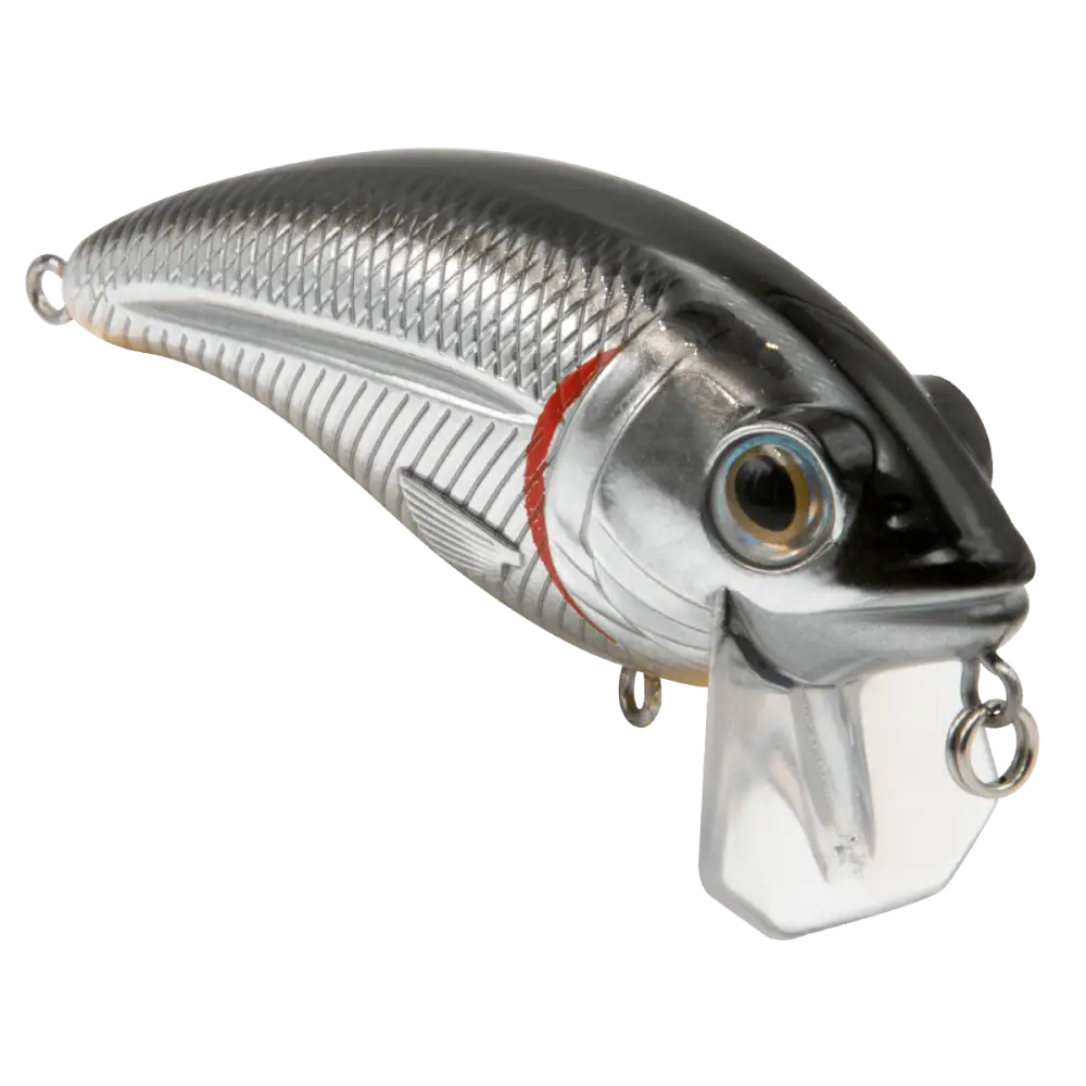 Bull Nose Shallow Crankbait for Bass & Walleye – EBS Sound Technology | Color: Black Back Chrome Shad Chartreuse