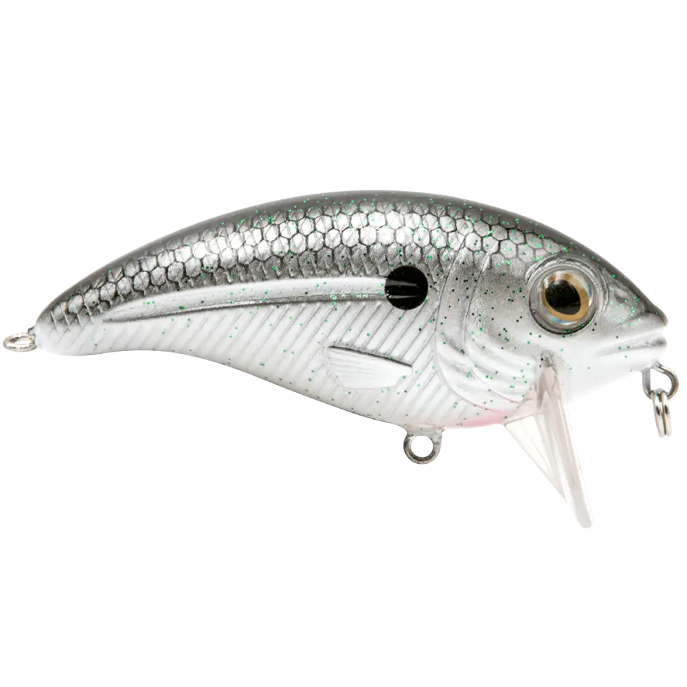 Bull Nose Shallow Crankbait for Bass & Walleye – EBS Sound Technology | Color: Black Back Chrome Shad Chartreuse