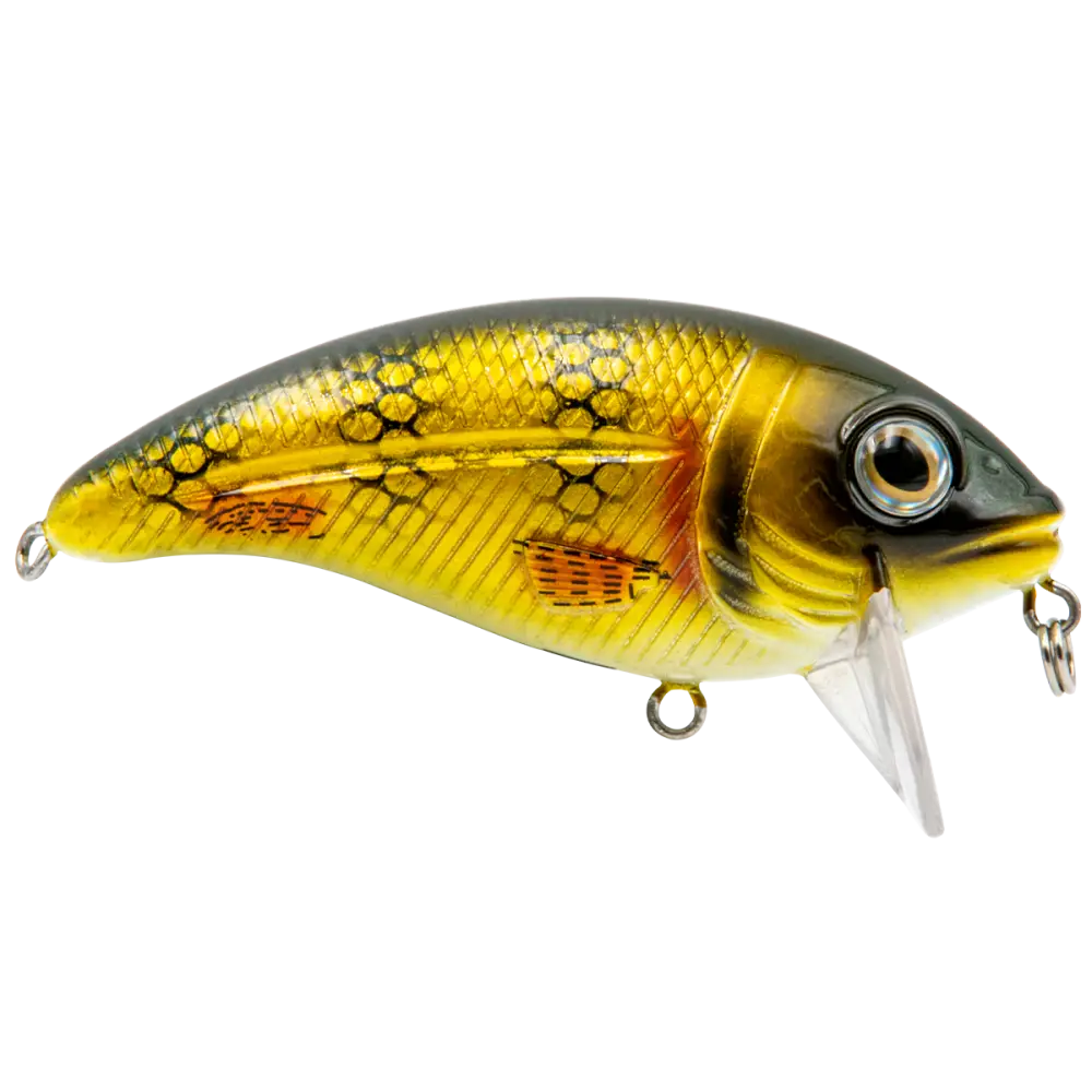 Bull Nose Shallow Crankbait for Bass & Walleye – EBS Sound Technology | Color: Black Back Chrome Shad Chartreuse