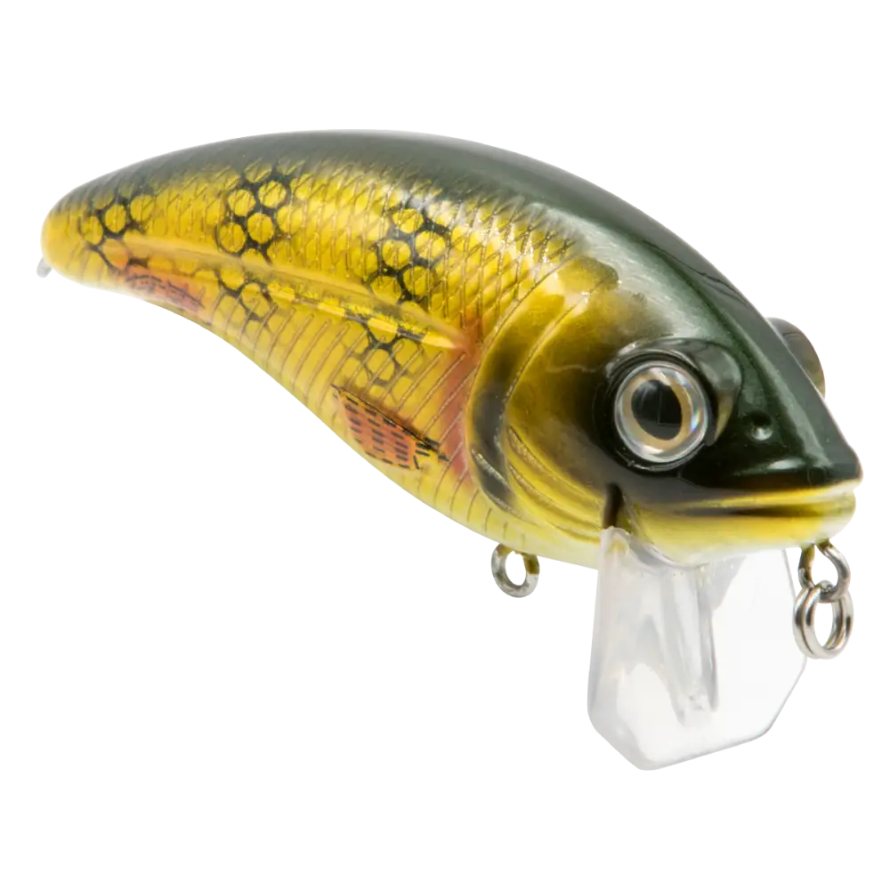 Bull Nose Shallow Crankbait for Bass & Walleye – EBS Sound Technology | Color: Black Back Chrome Shad Chartreuse