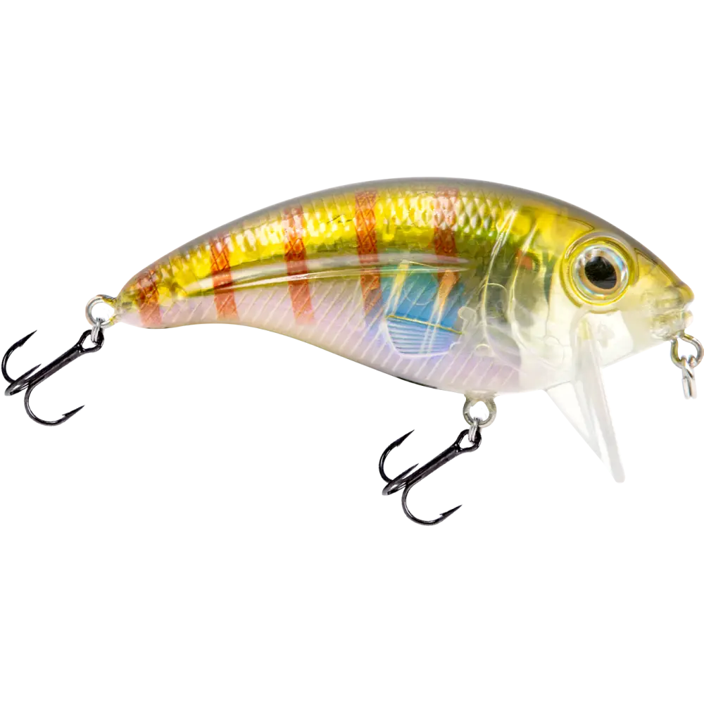 Bull Nose Shallow Crankbait for Bass & Walleye – EBS Sound Technology | Color: Black Back Chrome Shad Chartreuse
