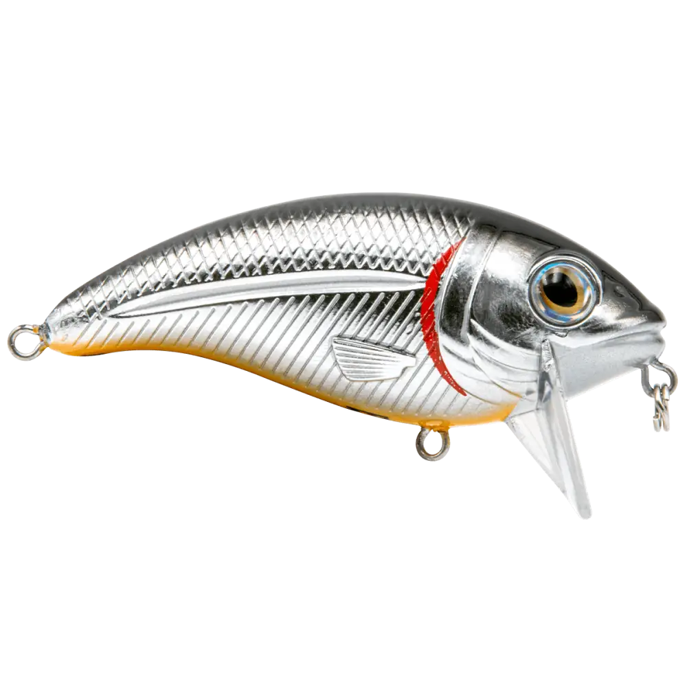Bull Nose Shallow Crankbait for Bass & Walleye – EBS Sound Technology | Color: Black Back Chrome Shad Chartreuse