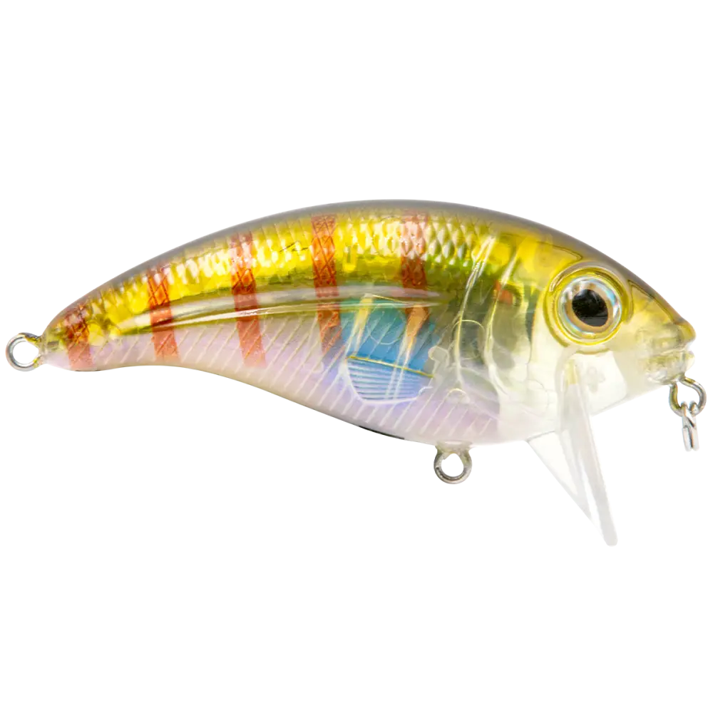 Bull Nose Shallow Crankbait for Bass & Walleye – EBS Sound Technology | Color: Black Back Chrome Shad Chartreuse