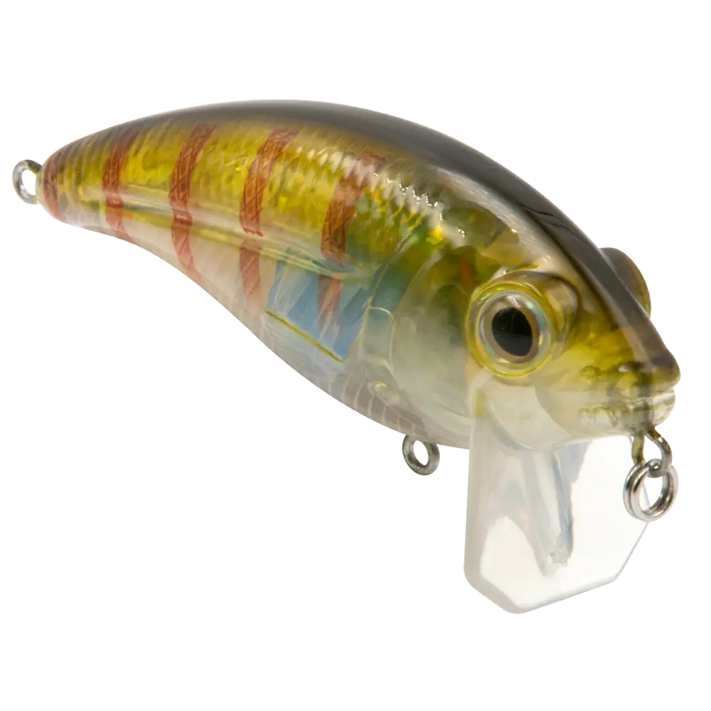 Bull Nose Shallow Crankbait for Bass & Walleye – EBS Sound Technology | Color: Black Back Chrome Shad Chartreuse