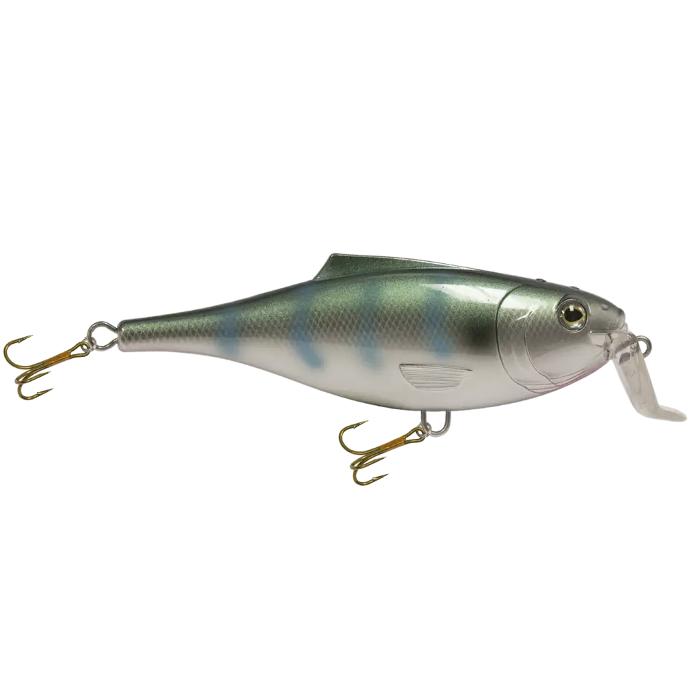 BullDozer Shallow-Diving Crankbait for Musky Pike & Walleye – EBS Sound Technology | Color Sound: Natural Perch
