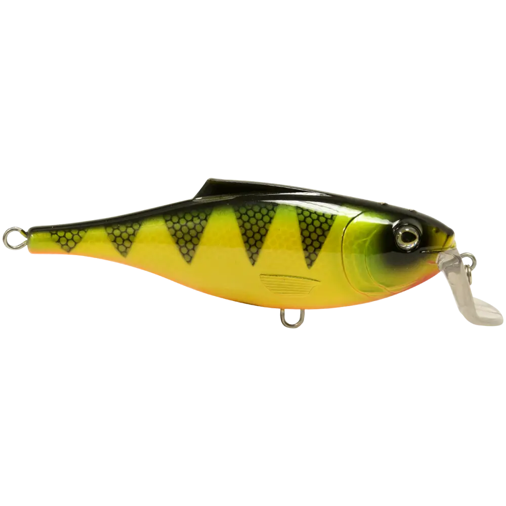 BullDozer Shallow-Diving Crankbait for Musky Pike & Walleye – EBS Sound Technology | Color Sound: Natural Perch