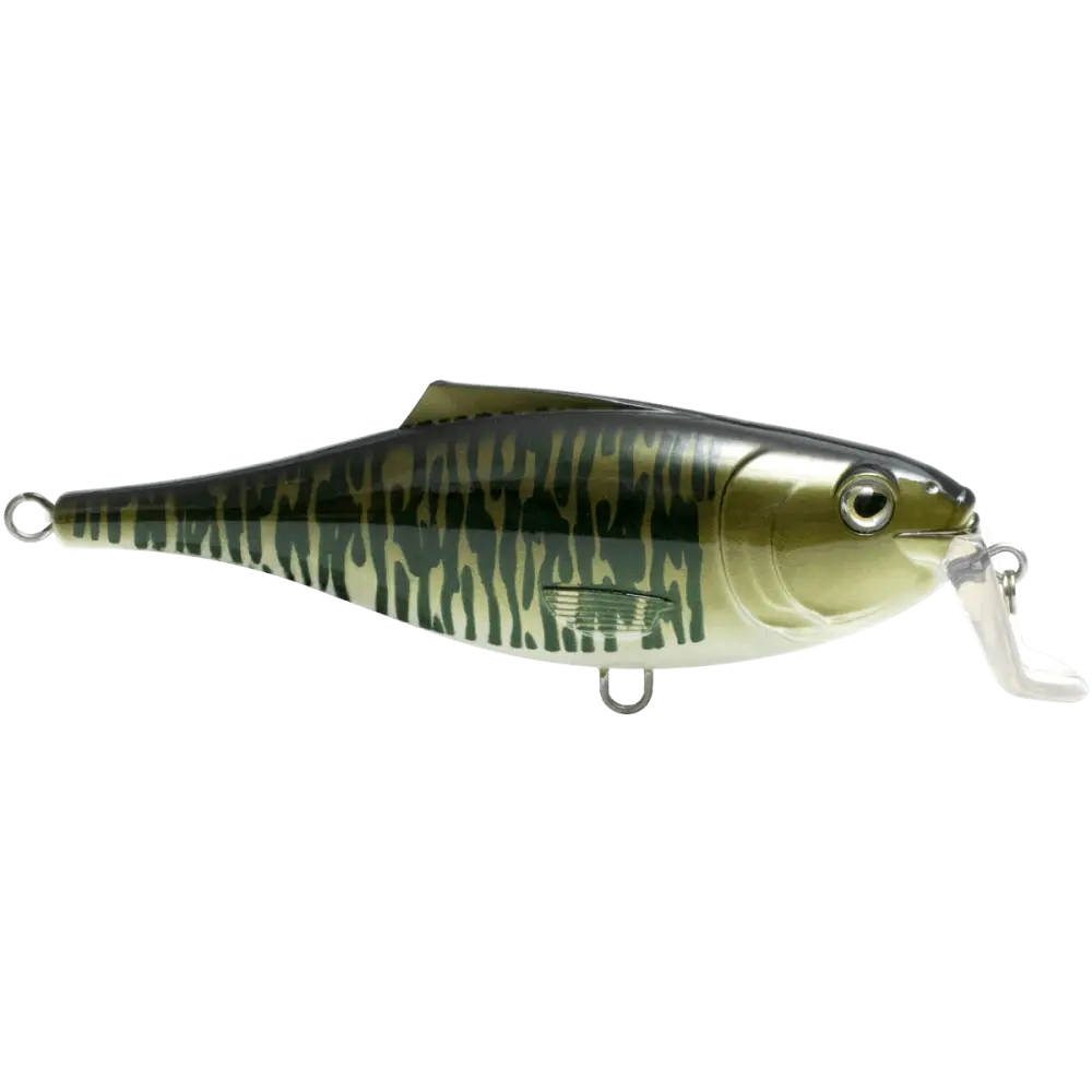 BullDozer Shallow-Diving Crankbait for Musky Pike & Walleye – EBS Sound Technology | Color Sound: Natural Perch