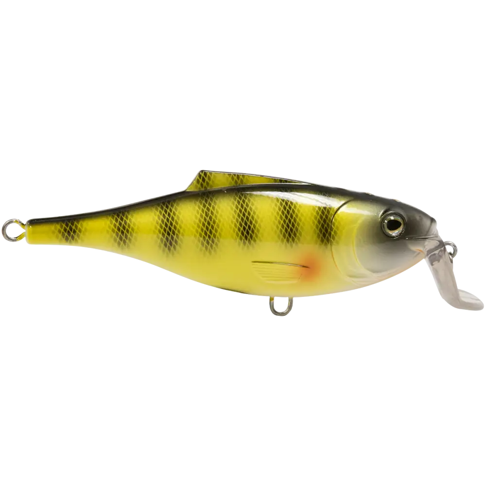 BullDozer Shallow-Diving Crankbait for Musky Pike & Walleye – EBS Sound Technology | Color Sound: Natural Perch