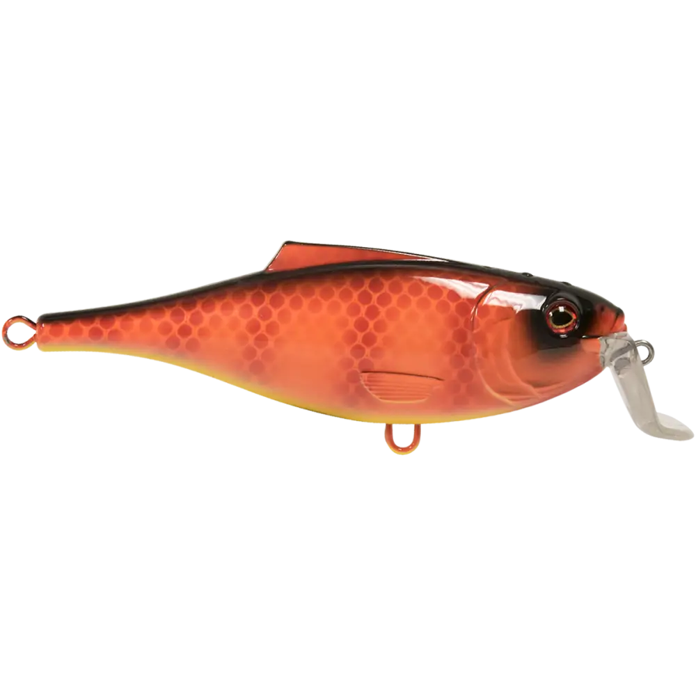 BullDozer Shallow-Diving Crankbait for Musky Pike & Walleye – EBS Sound Technology | Color Sound: Natural Perch