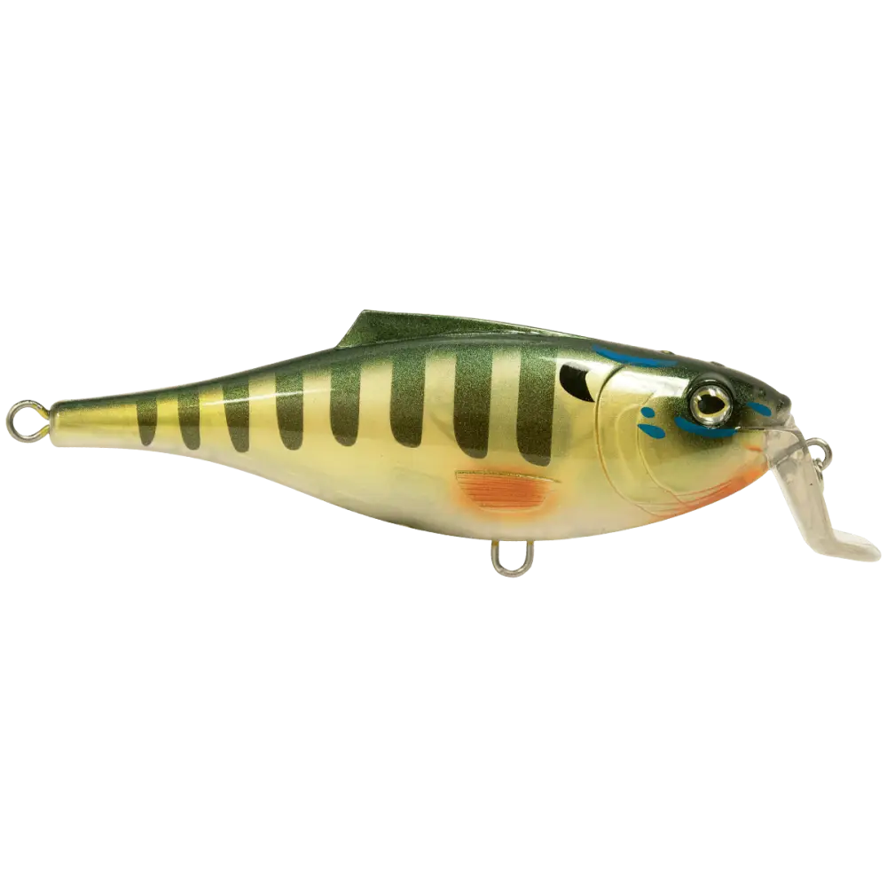 BullDozer Shallow-Diving Crankbait for Musky Pike & Walleye – EBS Sound Technology | Color Sound: Natural Perch