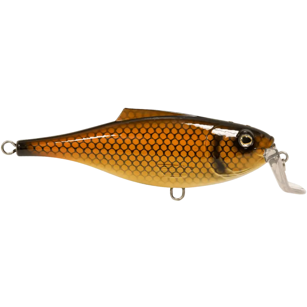 BullDozer Shallow-Diving Crankbait for Musky Pike & Walleye – EBS Sound Technology | Color Sound: Natural Perch