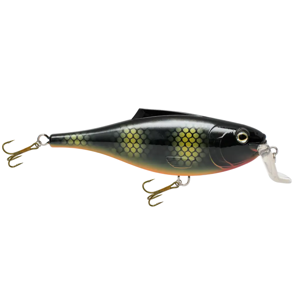 BullDozer Shallow-Diving Crankbait for Musky Pike & Walleye – EBS Sound Technology | Color Sound: Natural Perch