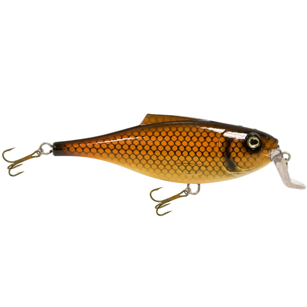 BullDozer Shallow-Diving Crankbait for Musky Pike & Walleye – EBS Sound Technology | Color Sound: Natural Perch